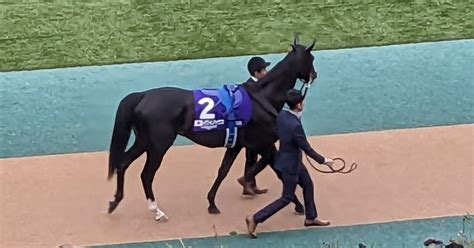 【穴党必見】素人競馬のつぶやき～チャンピオンズカップ（g1）予習④～｜つとむ