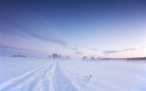 Snow Winter Field - [2560 X 1600]