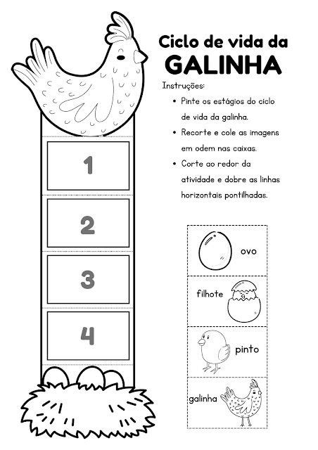 Blog Educação E Transformação Ciclo Da Vida Atividades Interativas Ensino Infantil