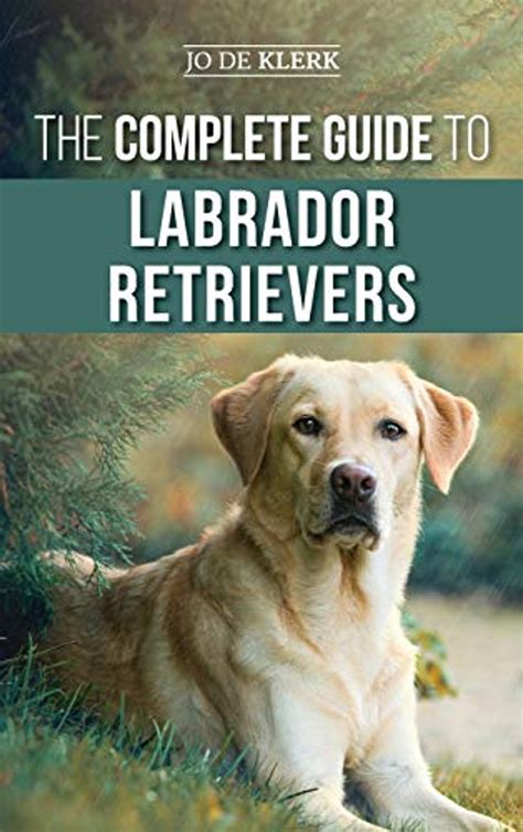 The Complete Guide To Labrador Retrievers Selecting Raising