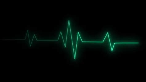 Cardiograph Stock Footage Royalty Free Stock Videos Pond