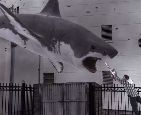 15 pics from the bonkers Sharknado trailer | Daily Star