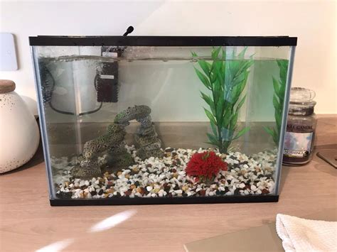 24 litre pets at home fish tank | in Neath, Neath Port Talbot | Gumtree