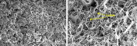 Fracture Morphology After Diffusion Treatment At 1100 °c For 5 H A