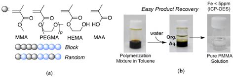 Nanomaterials Free Full Text Advances In Single Chain Nanoparticles For Catalysis Applications