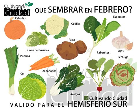 Qué Sembrar En La Huerta De Febrero Supercampo