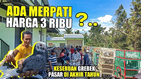 GREBEK PASARADA MERPATI HARGA 3 RIBU YouTube