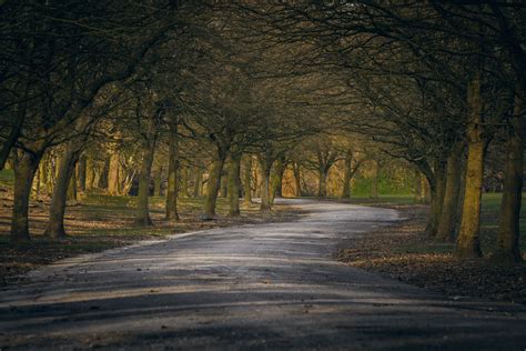 Sunset at Heaton Park | Kozakphoto – Photography With Passion