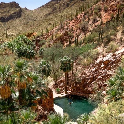 Castle Hot Springs Castle Hot Springs Resort Arizona Photograph By