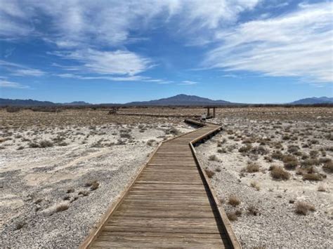 Best Hikes and Trails in Ash Meadows National Wildlife Refuge | AllTrails