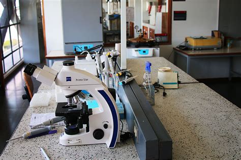 Laboratorio Bioquímica Posgrado Escuela De Ciencias Básicas