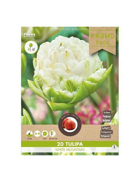 Tulipan L G Tulipa White Mountain Pakke Med L G Plantorama