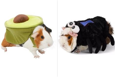 Halloween Costumes for Guinea Pigs and Other Small Animals