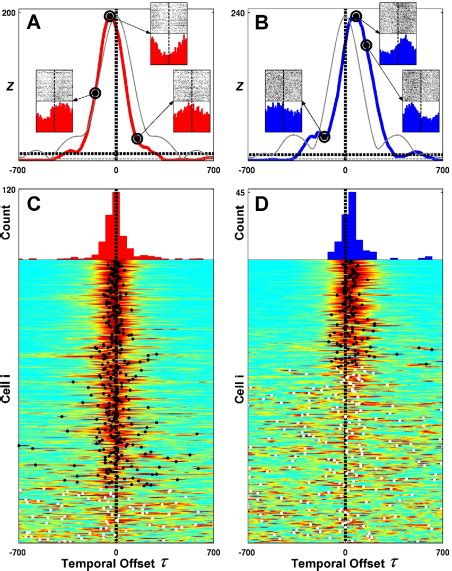 Prefrontal Phase Locking To Hippocampal Theta Oscillations Neuron