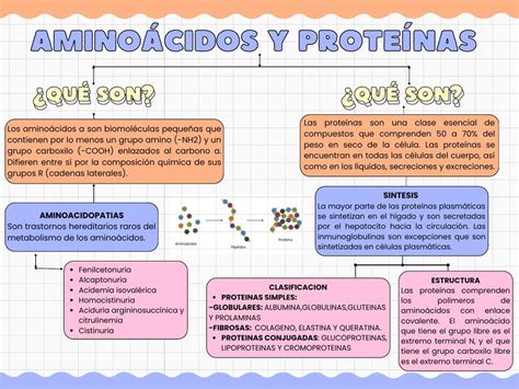 Mapa Aminoacidos Y Proteinas Flor Salguero UDocz