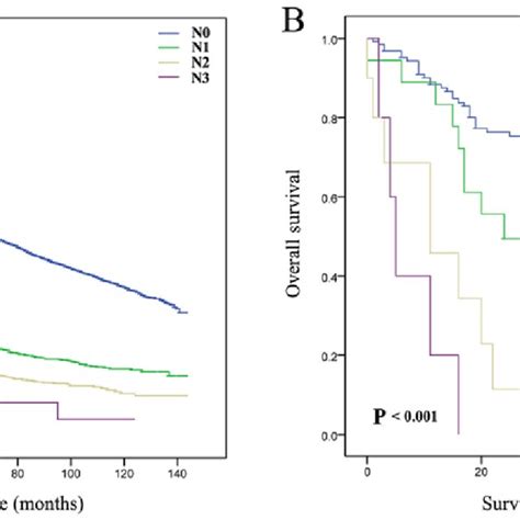 Kaplan Meier Survival Curves According To N Stage N0 N1 N2 And N3