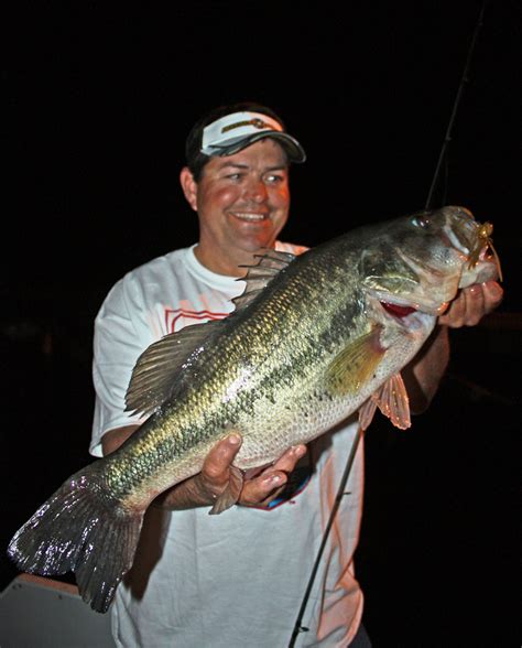 Cooling Fall Weather Brings Largemouth Bass To The Forefront On Lake