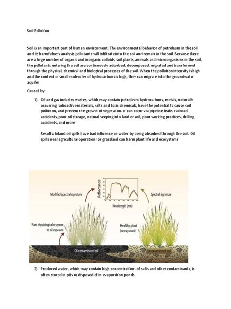 Soil Pollution | PDF