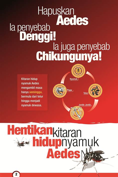 Poster Nyamuk Aedes – Pigura