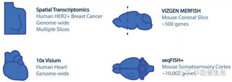 一文了解空间转录组数据分析 知乎