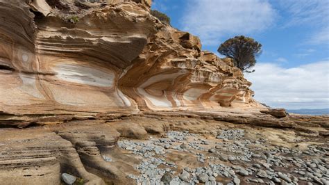 Maria Island National Park Premium Private Photo Oriented Day Tour