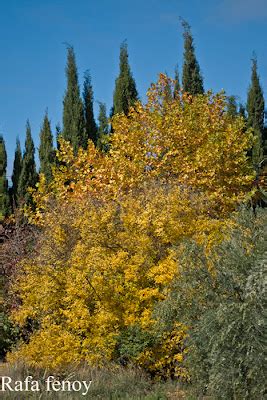 Flora Y Fauna De Arbuniel Ja N Contraste De Colores En Oto O