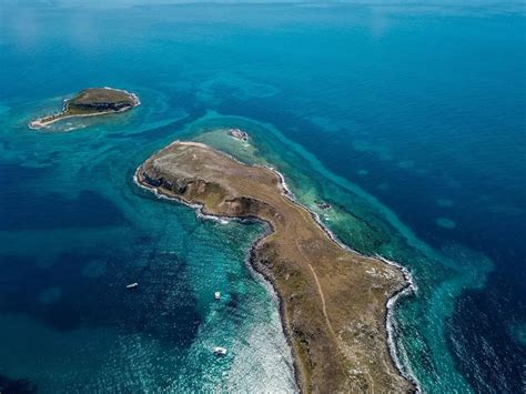O Que Significa Abrolho - 10 curiosidades que você precisa saber sobre Abrolhos - PlanetaEXO