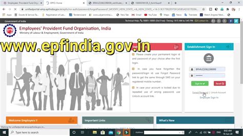 Download Pf Certificate Forgot Epfo Password Epf Code Allotment