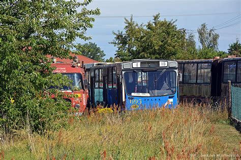 Fotogaleria Transportowa Jelcz M