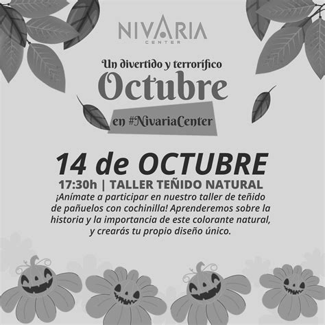 TALLER TEÑIDO NATURAL Nivaria Center