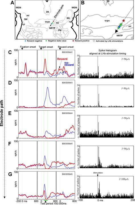 Negative Reward Signals From The Lateral Habenula To Dopamine Neurons