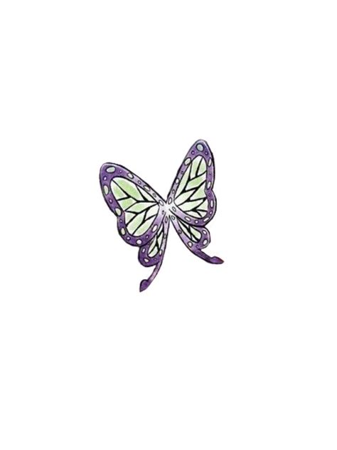 A Purple And Green Butterfly On A White Background