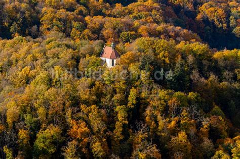 Endingen Am Kaiserstuhl Aus Der Vogelperspektive Herbstluftbild