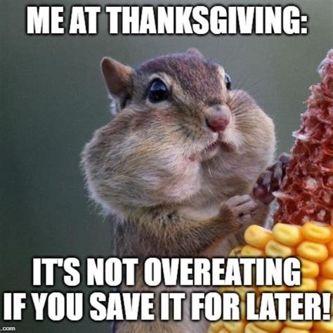 110+ Hilarious Funny Thanksgiving Memes 2023