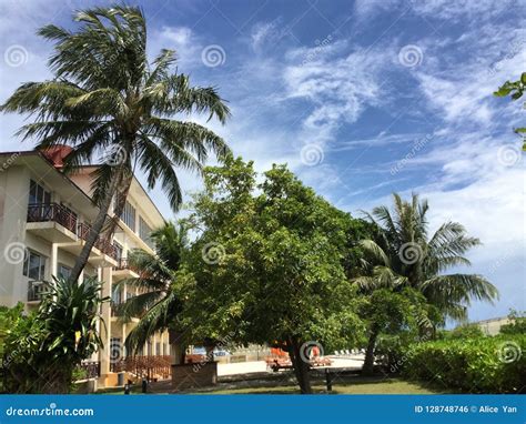 amazing hotel stock photo image  grace good attractive