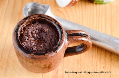 Moist Chocolate Mug Cake Vegan Style Foodscape