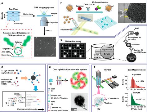 Analysis And Biomedical Applications Of Functional Cargo In