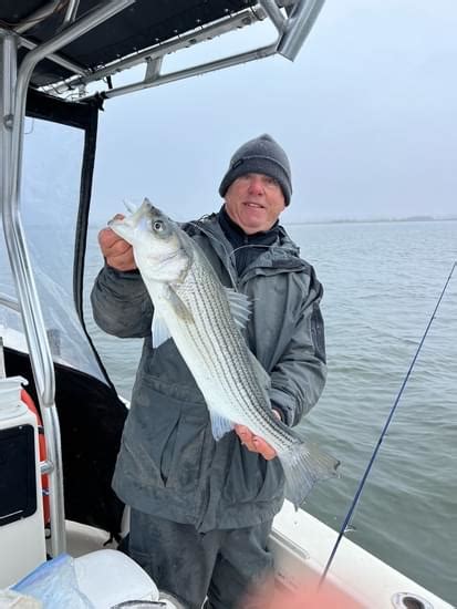 Rockfish Bonanza | St. Mary's County MD Tourism