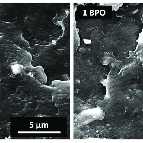 Sem Micrographs Of Cryo Fractured Surfaces Of And Bpo