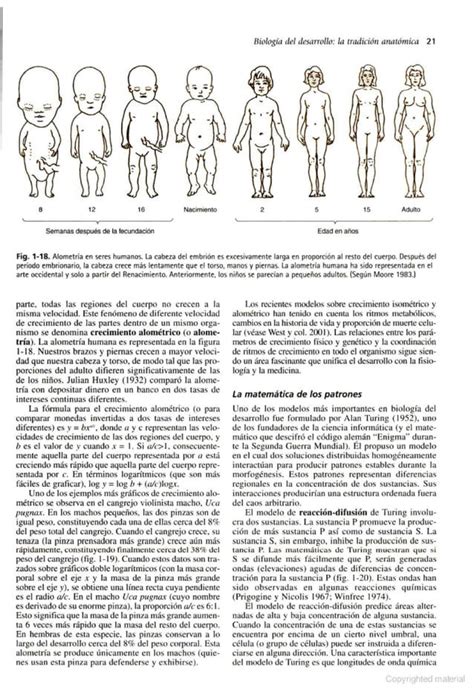 Biología del Desarrollo Gilbert 7a edición pdf