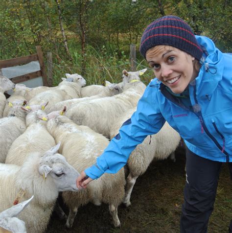 Ny Giv I Bergen Og Os Sau Og Geit Norsk Sau Og Geit