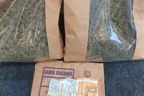 Two Men Arrested Following Roscommon Drugs Seizure Shannonsideie