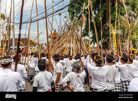 Balinese Hindu During Mekotek Ceremony At Kuningan Celebration Munggu