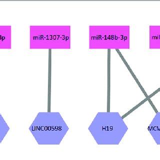 A Part Of The Protein Mirna Interaction Network Ten Proteins And