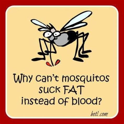 Mosquito Bites Funny Quotes Funny Jokes Jokes