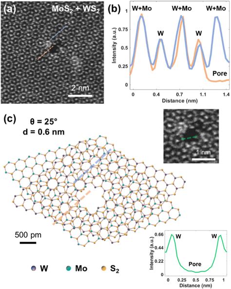 A HAADF STEM Image Of A Single Nanopore Defect With D 0 6 Nm In A