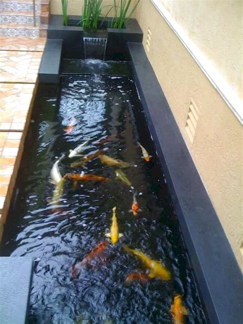 Small Koi Pond Size | Wonderful Koi