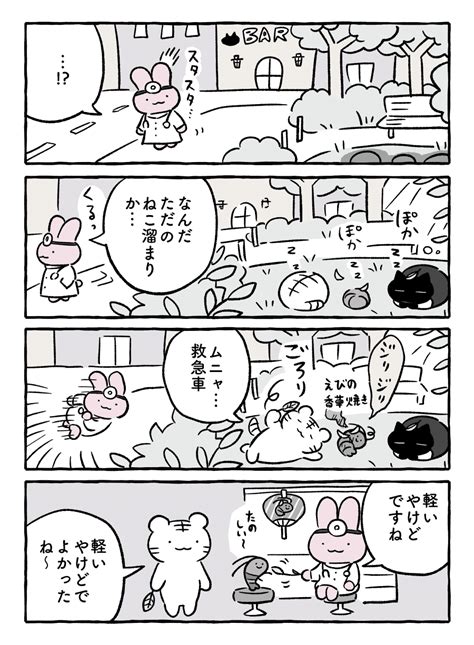 ホワイトタイガーとブラックタイガー28 キャッツ｜にとりささみ