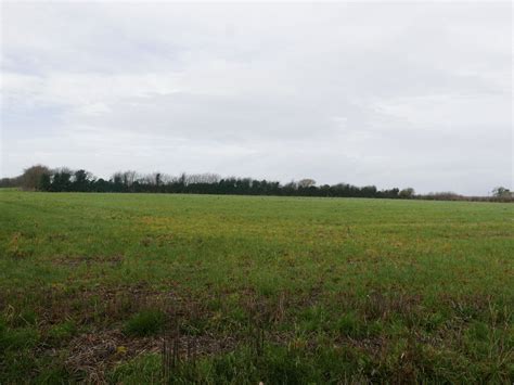 Property 25 Acres Of Agricultural Land In Walsh Island To Let On A