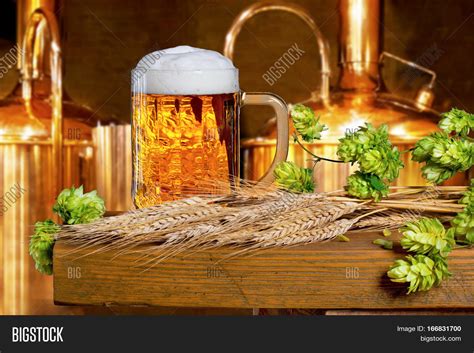 Beer Glass Hops Barley Image And Photo Free Trial Bigstock